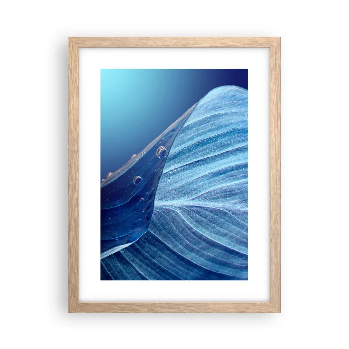 Plagát v ráme zo svetlého duba - Skryté kvapky modrej - 30x40 cm