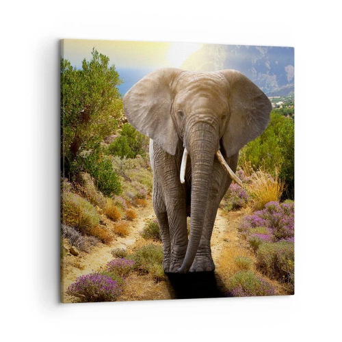 Obraz na plátne - Tak vyzeral Raj - 50x50 cm