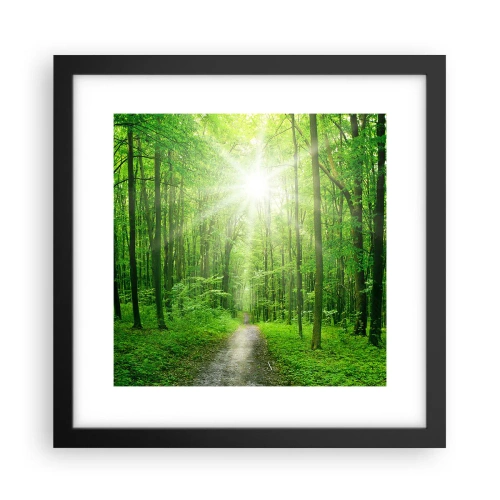 Plagát v čiernom ráme - Zelená katedrála - 30x30 cm