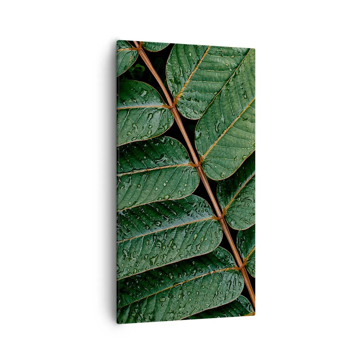 Obraz na plátne - V zelenom rytme - 55x100 cm