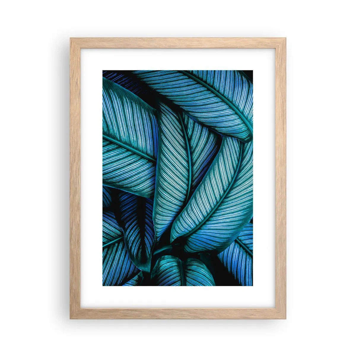 Plagát v ráme zo svetlého duba - Čiary života - 30x40 cm