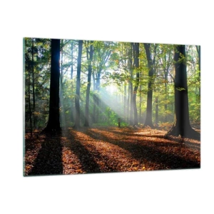 Obraz na skle - Svetlá a tiene - 120x80 cm