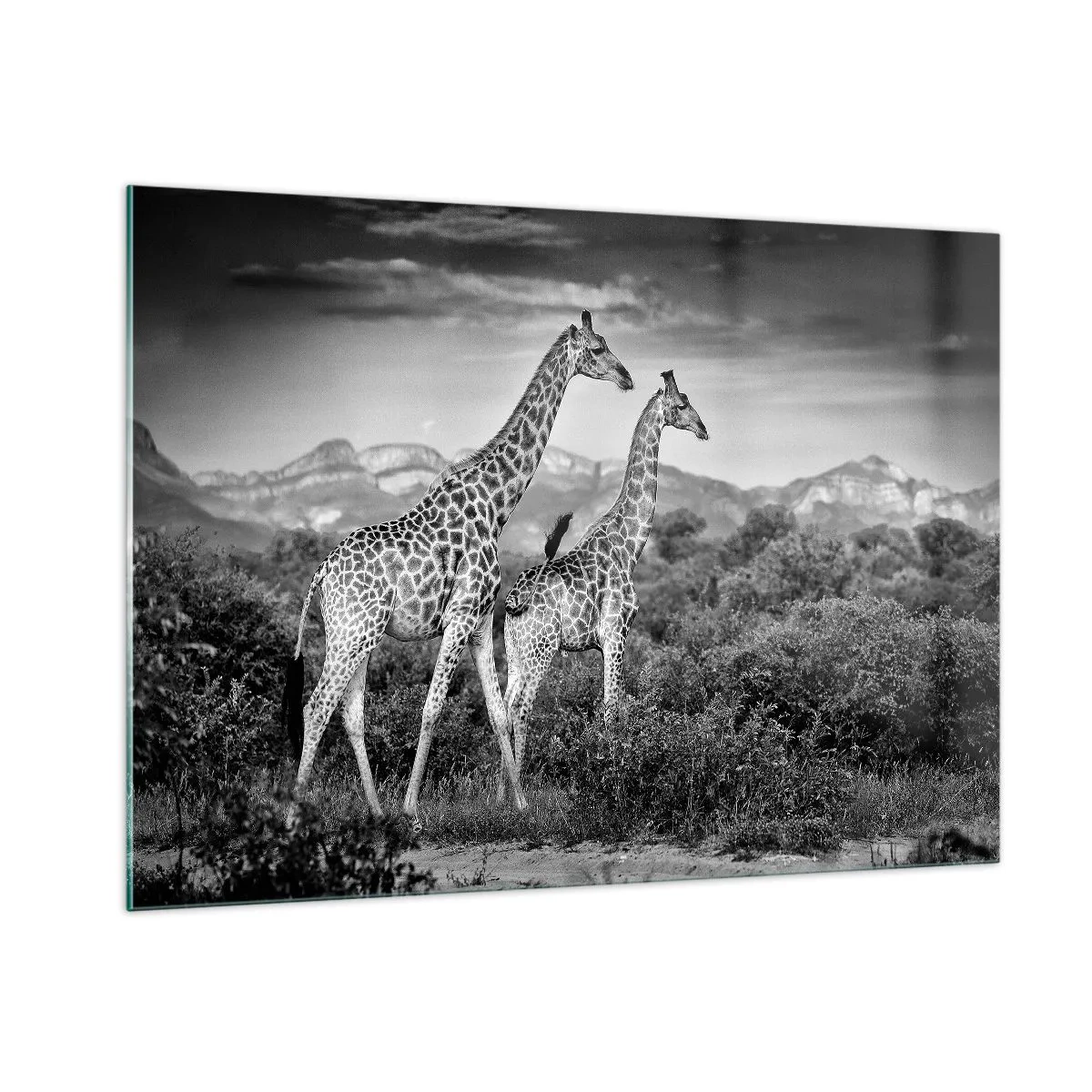 Obraz na skle - Vyššie kruhy v Afrike - 100x70 cm