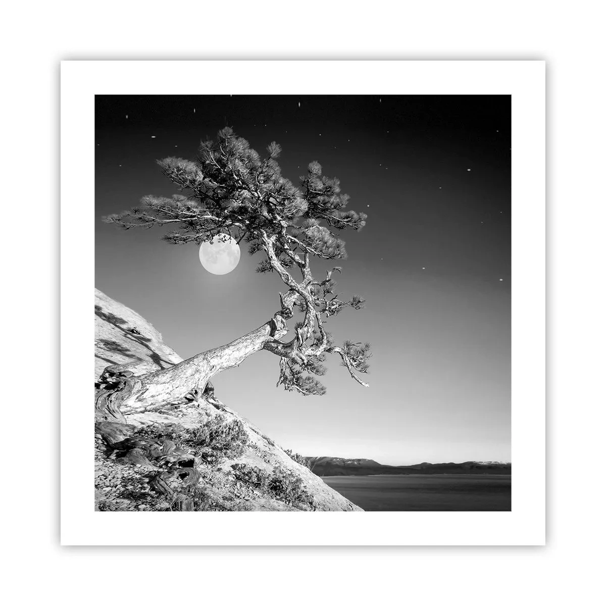 Plagát - Víťazná bojovníčka - 50x50 cm