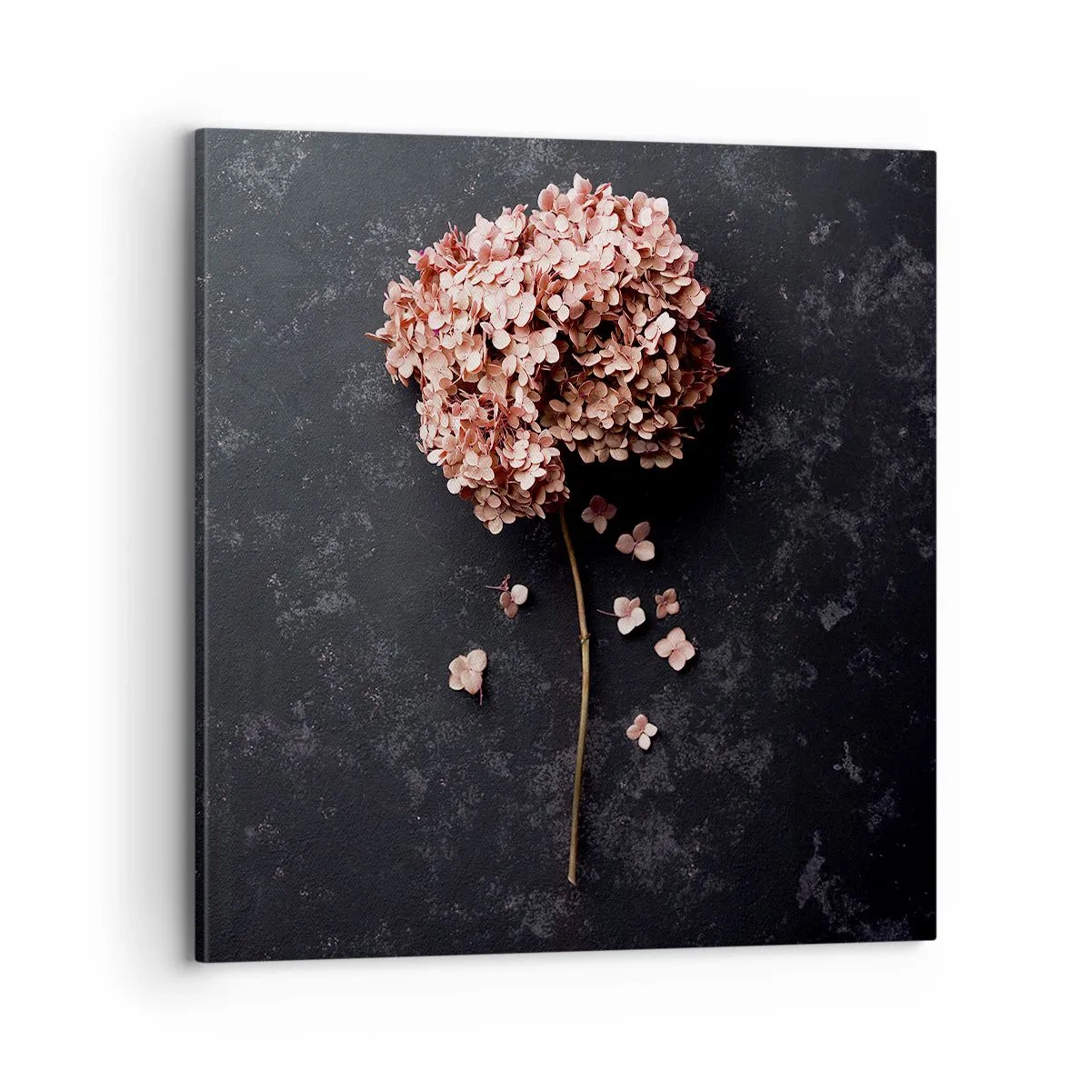 Obraz na plátne - Skutočne romantické znamenie - 70x70 cm