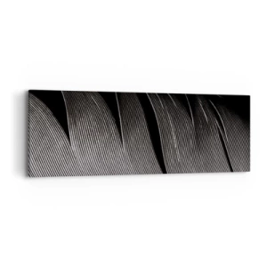 Obraz na plátne - Perie – nádherná konštrukcia - 90x30 cm