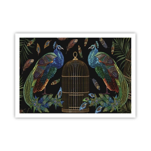 Plagát - V kráľovskom rúchu - 100x70 cm