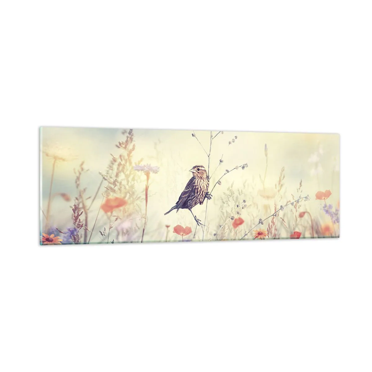 Obraz na skle - Portrét vtáka s lúkou v pozadí - 90x30 cm