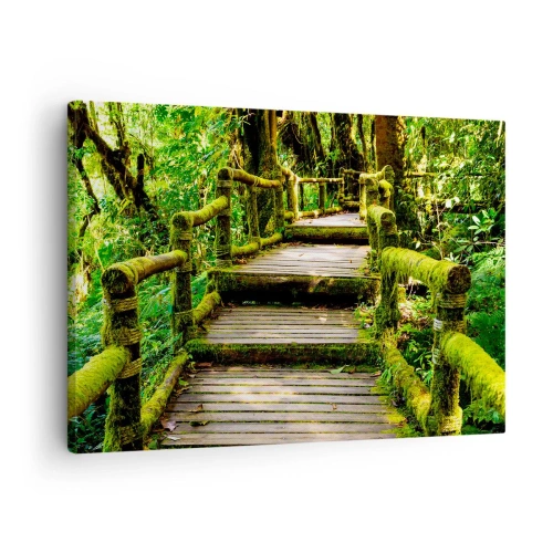 Obraz na plátne - Drevený most pokrytý machom v tropickom dažďovom pralese - 70x50cm - Chodbou zelene - Moderná nástenná dekorácia do obývacej izby a spálne ARTTOR