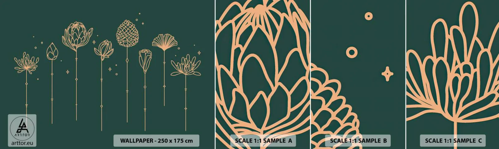 Vzorka Fototapeta Standard Eco - Bylinky - Kvety, Art Deco, Minimalistický - 100x30 cm