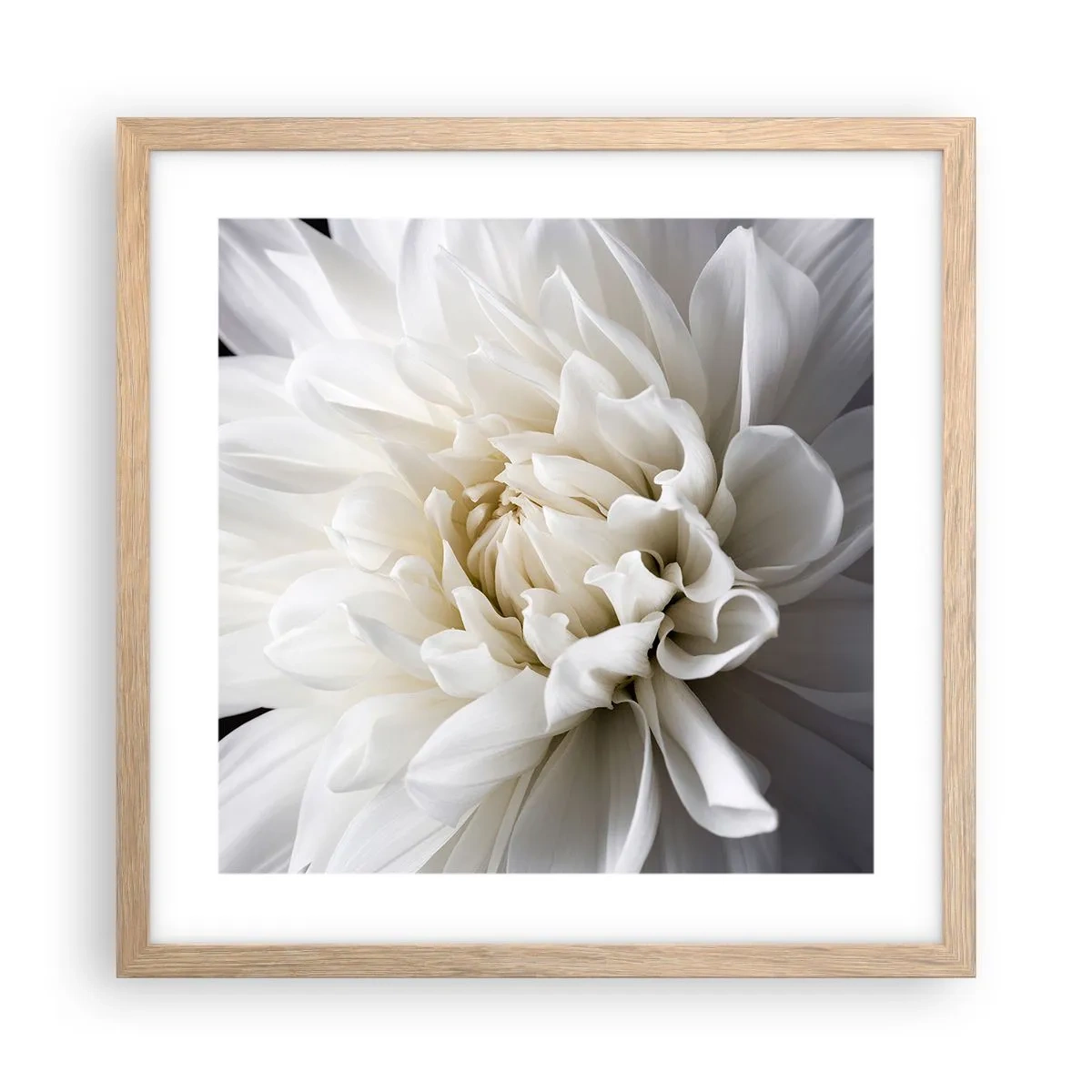 Plagát v ráme zo svetlého duba - Ráno s nevestou - 40x40 cm