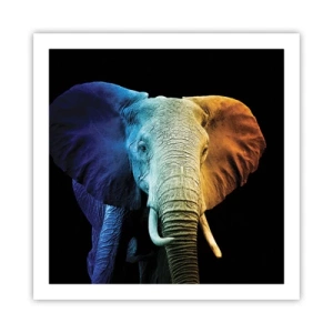 Plagát - Excentrický muž, avšak nie podivín - 60x60 cm