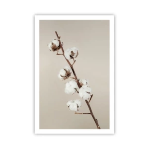 Plagát - Pri zdroji mäkkosti - 61x91 cm