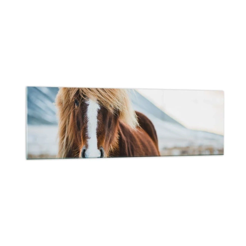 Obraz na skle - Cítiš slobodu? - 160x50 cm