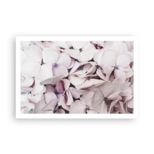 Plagát - V záplave kvetov - 91x61 cm