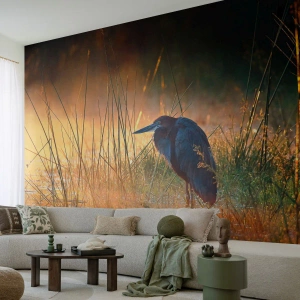 Fototapeta Premium Sand - Ušetrite ma tých fotiek - Volavka, Vták, Príroda - 200x140 cm