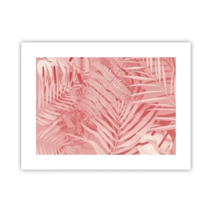 Plagát - Ružový koncept - 40x30 cm