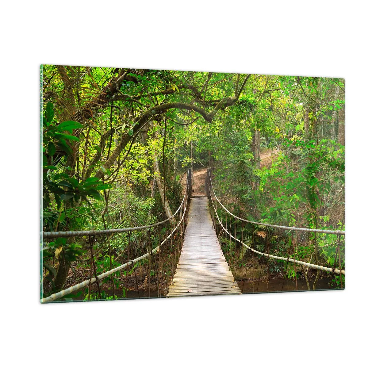 Obraz na skle - Lebo na záhrade rastú popínavé rastliny - 120x80 cm