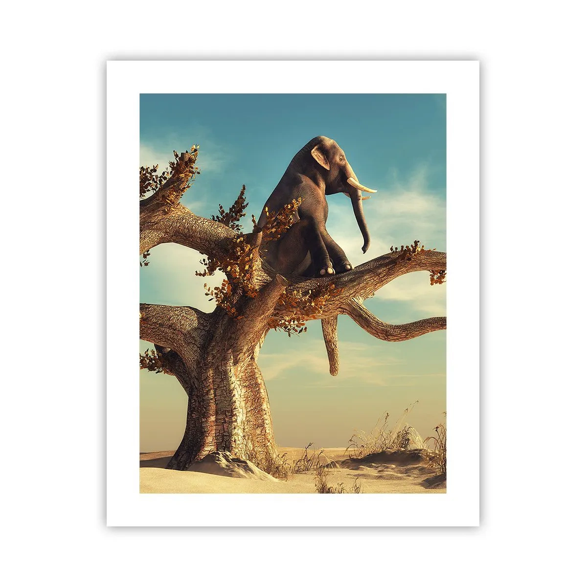 Plagát - Nový uhol pohľadu - 40x50 cm