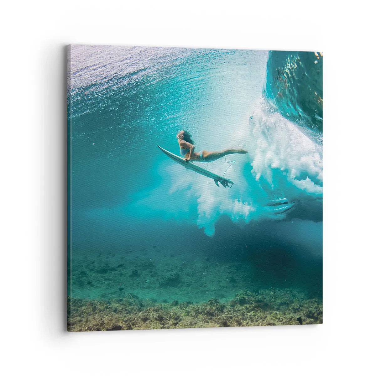 Obraz na plátne - Podmorský svet - 70x70 cm