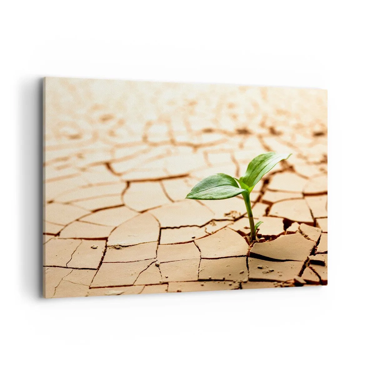 Obraz na plátne - Nespútaná sila života - 100x70 cm