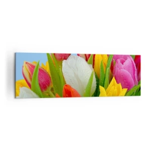 Obraz na plátne - Kvetinová dúha v kvapkách rosy - 160x50 cm