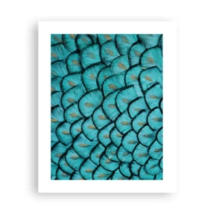 Plagát - Veľká slávnosť peria - 40x50 cm