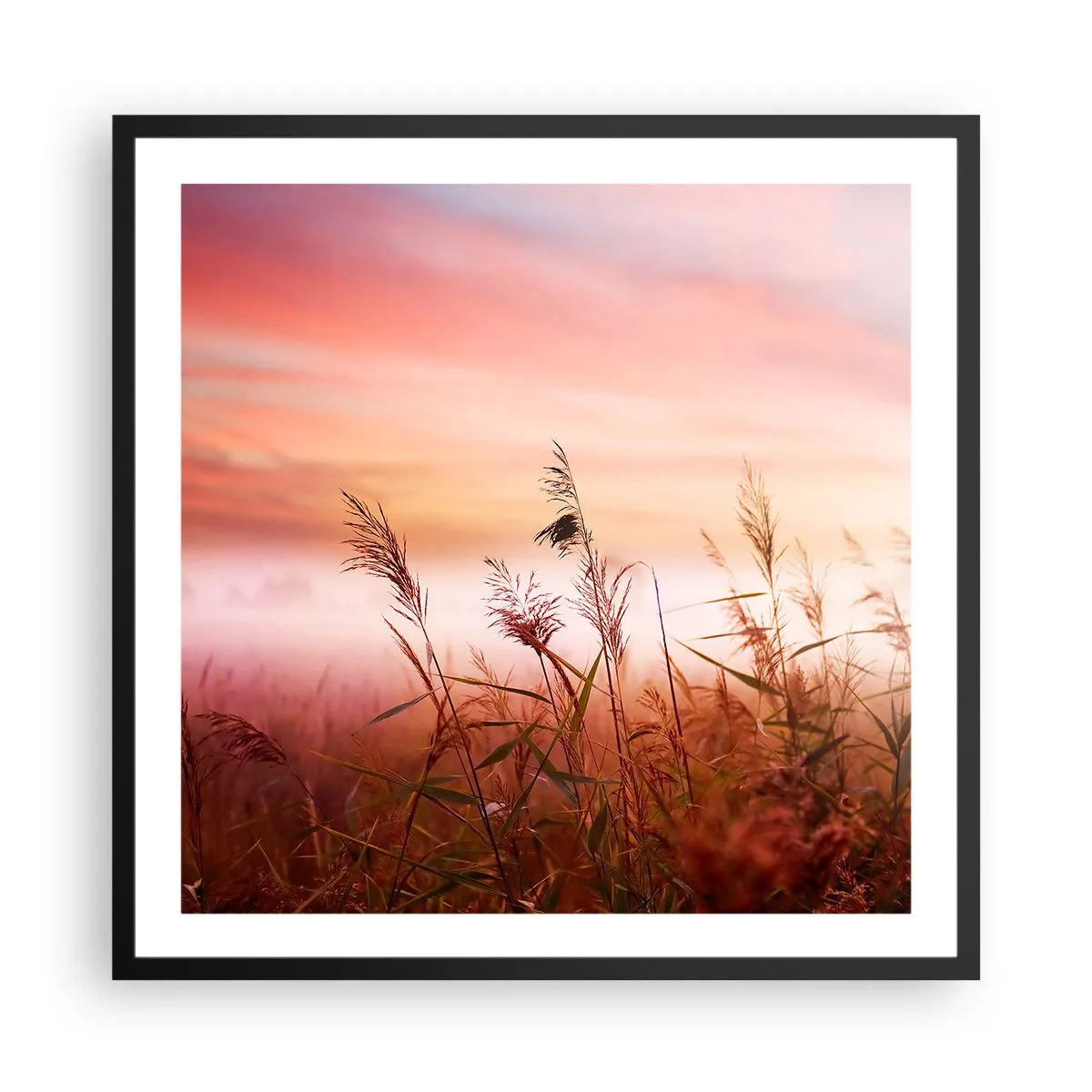 Plagát v čiernom ráme - Draci, púpavy a vietor - 60x60 cm