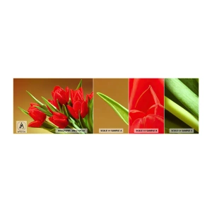 Vzorka samolepiacej fototapety Deluxe Sticker - Púčik jarnej radosti - Kvety, Tulipány, Kytica kvetov - 100x30 cm