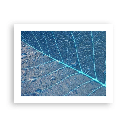 Plagát - Modrý život - 50x40 cm