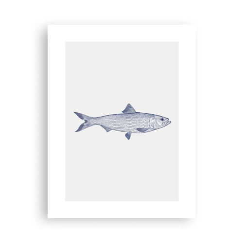 Plagát - Pozdravy zo severných morí - 30x40 cm