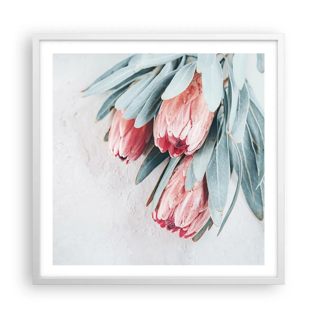 Plagát v bielom ráme - Zahanbené svojou vlastnou krásou - 60x60 cm