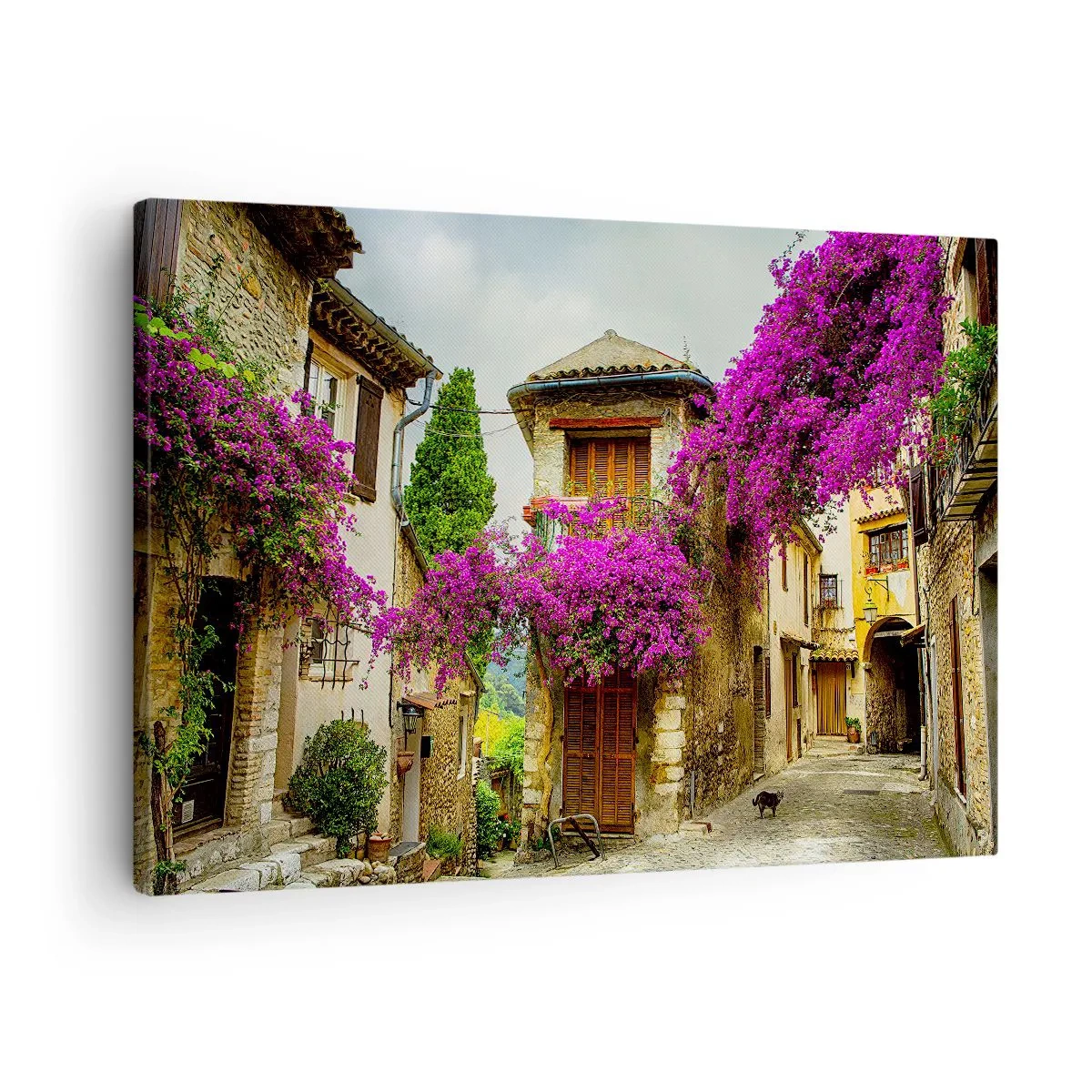 Obraz na plátne - Kamenná ulica s ružovými kvetmi a domami - 70x50cm - Pod kvetinovým baldachýnom - Moderná nástenná dekorácia do obývacej izby a spálne ARTTOR