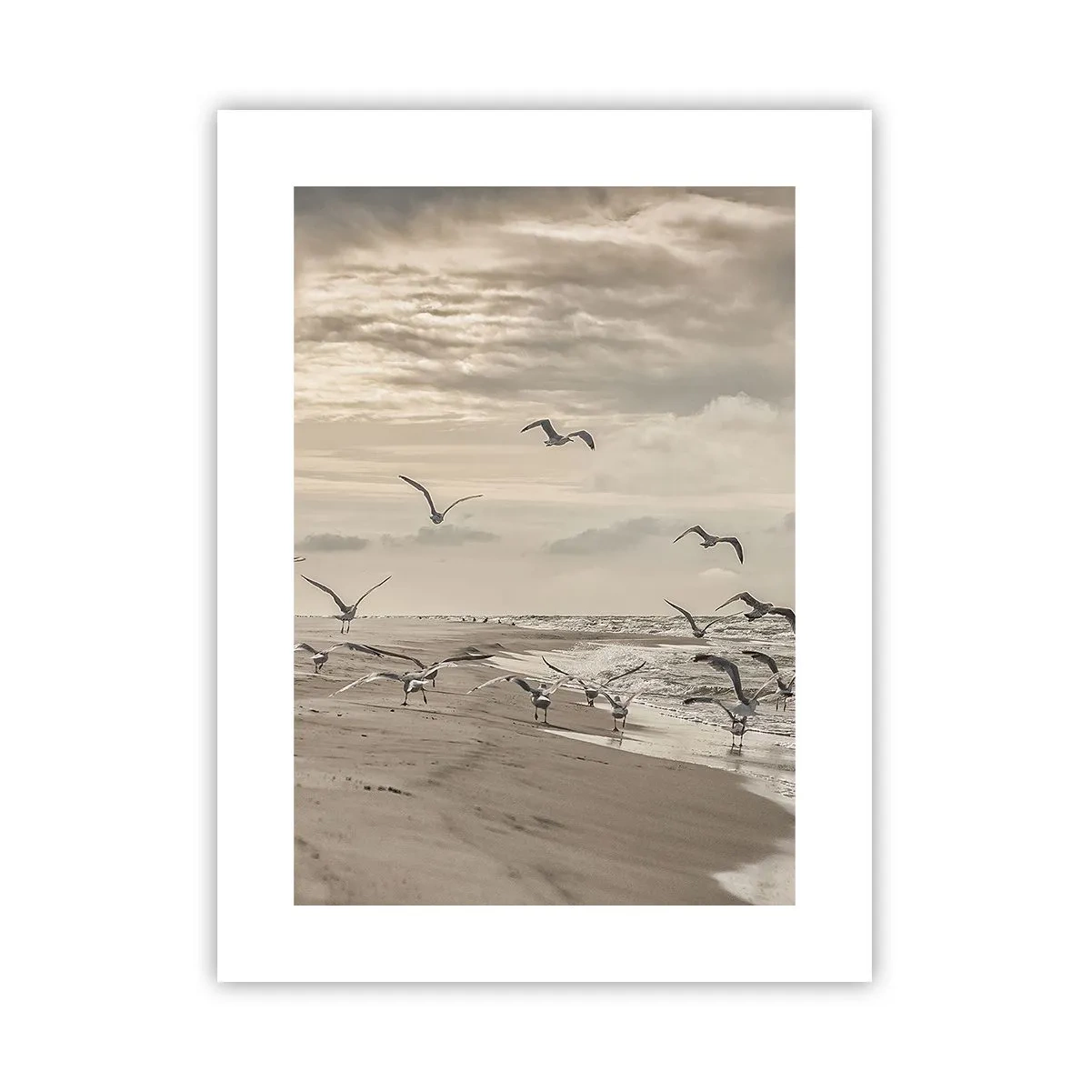 Plagát - Šumenie mora, spev vtákov - 30x40 cm