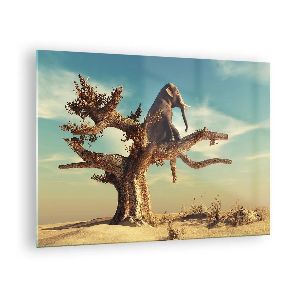 Obraz na skle - Slon sediaci na strome na pozadí púšte - 70x50cm - Nový uhol pohľadu - Moderná nástenná dekorácia do obývacej izby a spálne ARTTOR