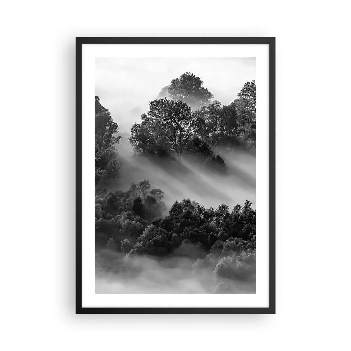 Plagát v čiernom ráme - Hmlistý les v odtieňoch čiernej a bielej - 50x70cm - Prebúdzanie zo spánku - Moderná nástenná dekorácia do obývacej izby a spálne ARTTOR
