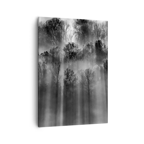 Obraz na plátne - V lúčoch svetla - 50x70 cm