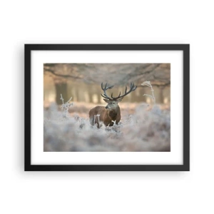 Plagát v čiernom ráme - Svieže ráno - 40x30 cm