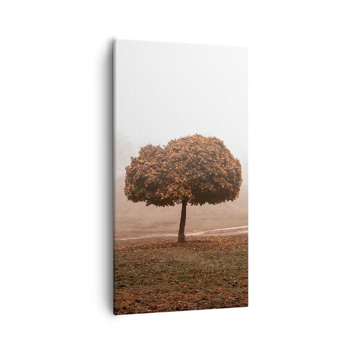 Obraz na plátne - Po rušnom lete - 55x100 cm