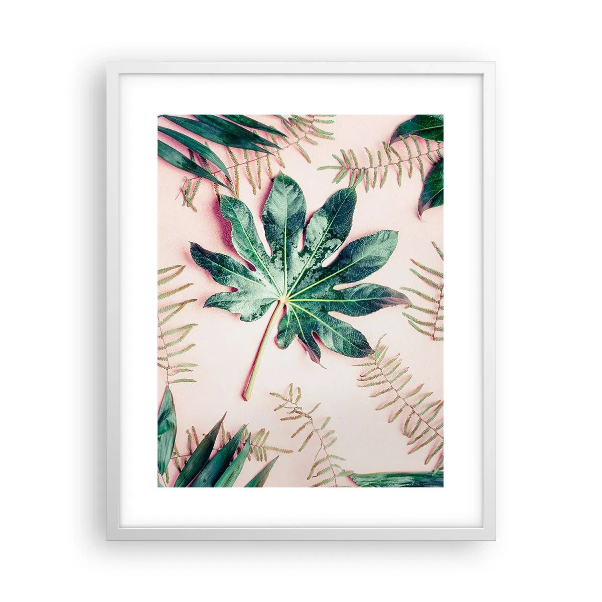 Plagát v bielom ráme - Štúdia zelenej na ružovom pozadí - 40x50 cm