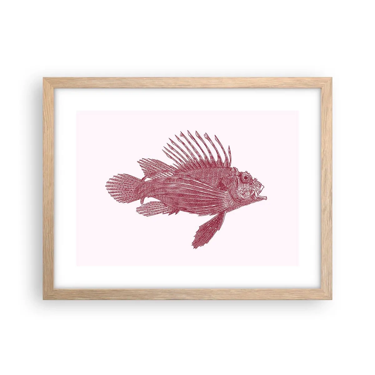 Plagát v ráme zo svetlého duba - Obyvateľka exotických vôd - 40x30 cm
