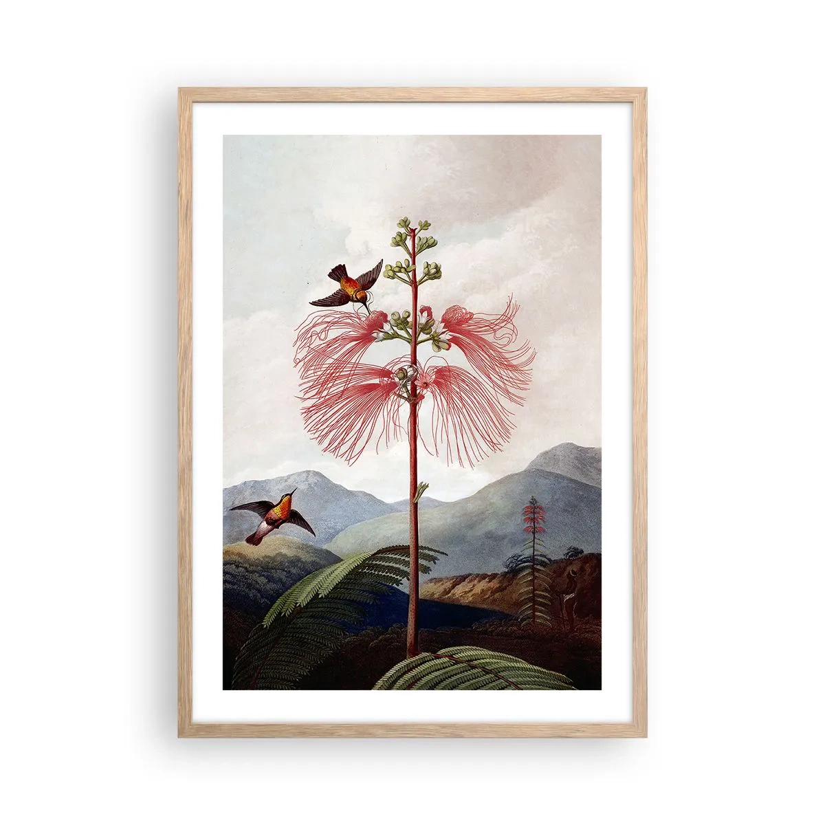 Plagát v ráme zo svetlého duba - V tropickom raji - 50x70 cm