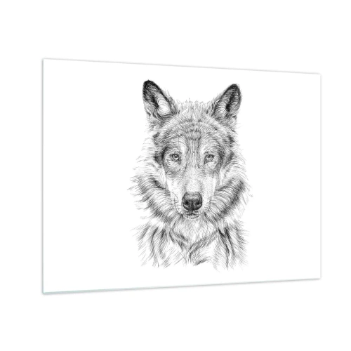 Obraz na skle - Čiernobiela skica vlčej hlavy na bielom pozadí - 70x50cm - Rodený vodca - Moderná nástenná dekorácia do obývacej izby a spálne ARTTOR