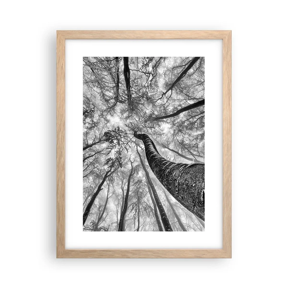 Plagát v ráme zo svetlého duba - Závod ku svetlu - 30x40 cm