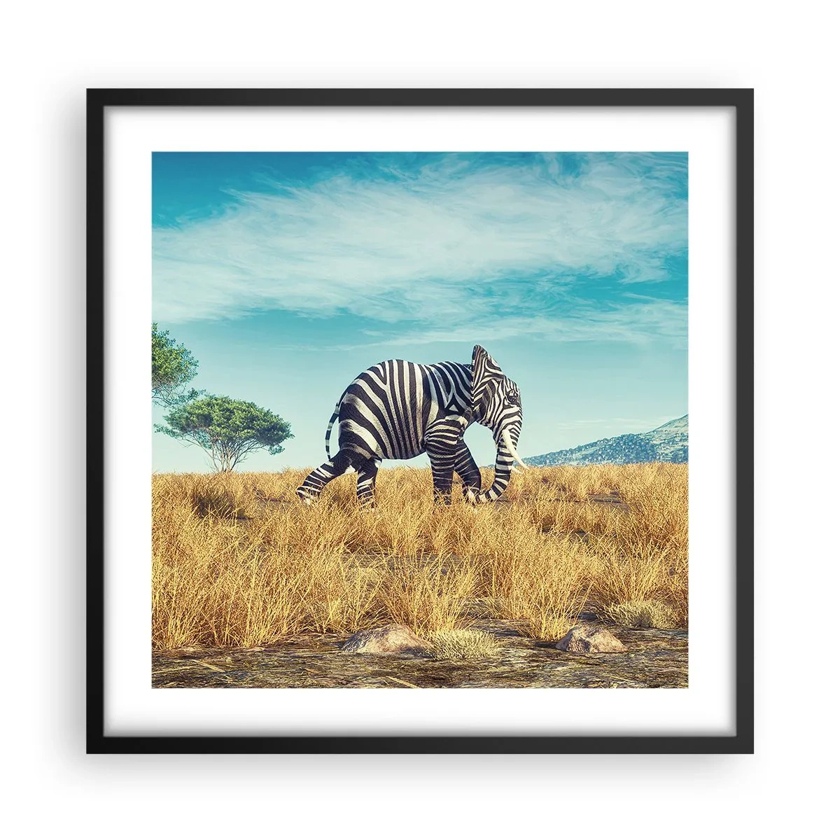 Plagát v čiernom ráme - Šedá už nie je v móde - 50x50 cm