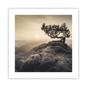 Plagát - Život vždy víťazí - 40x40 cm