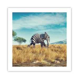 Plagát - Šedá už nie je v móde - 50x50 cm