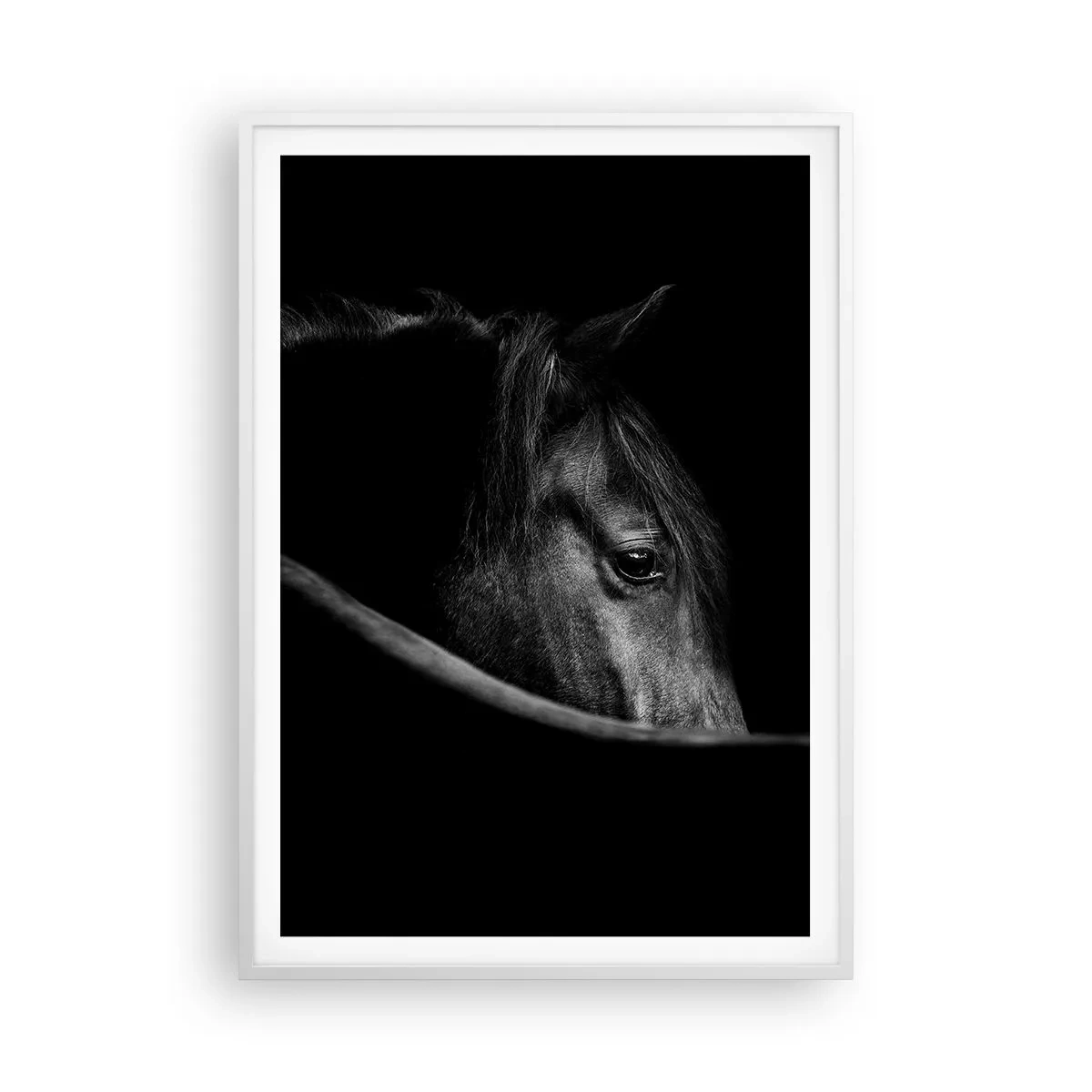 Plagát v bielom ráme - Čierny knieža - 70x100 cm