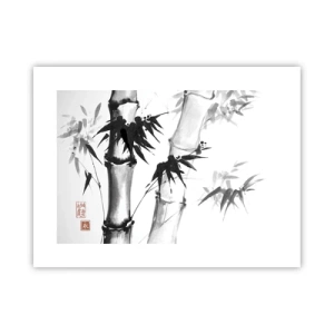 Plagát - Blízky záber na orient - 40x30 cm