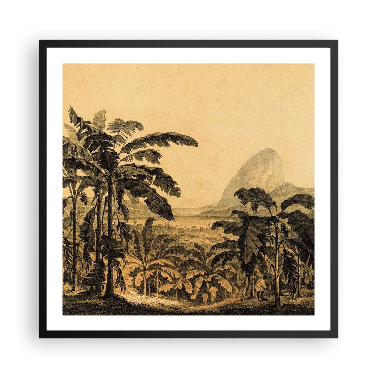 Plagát v čiernom ráme - V koloniálnom štýle - 60x60 cm